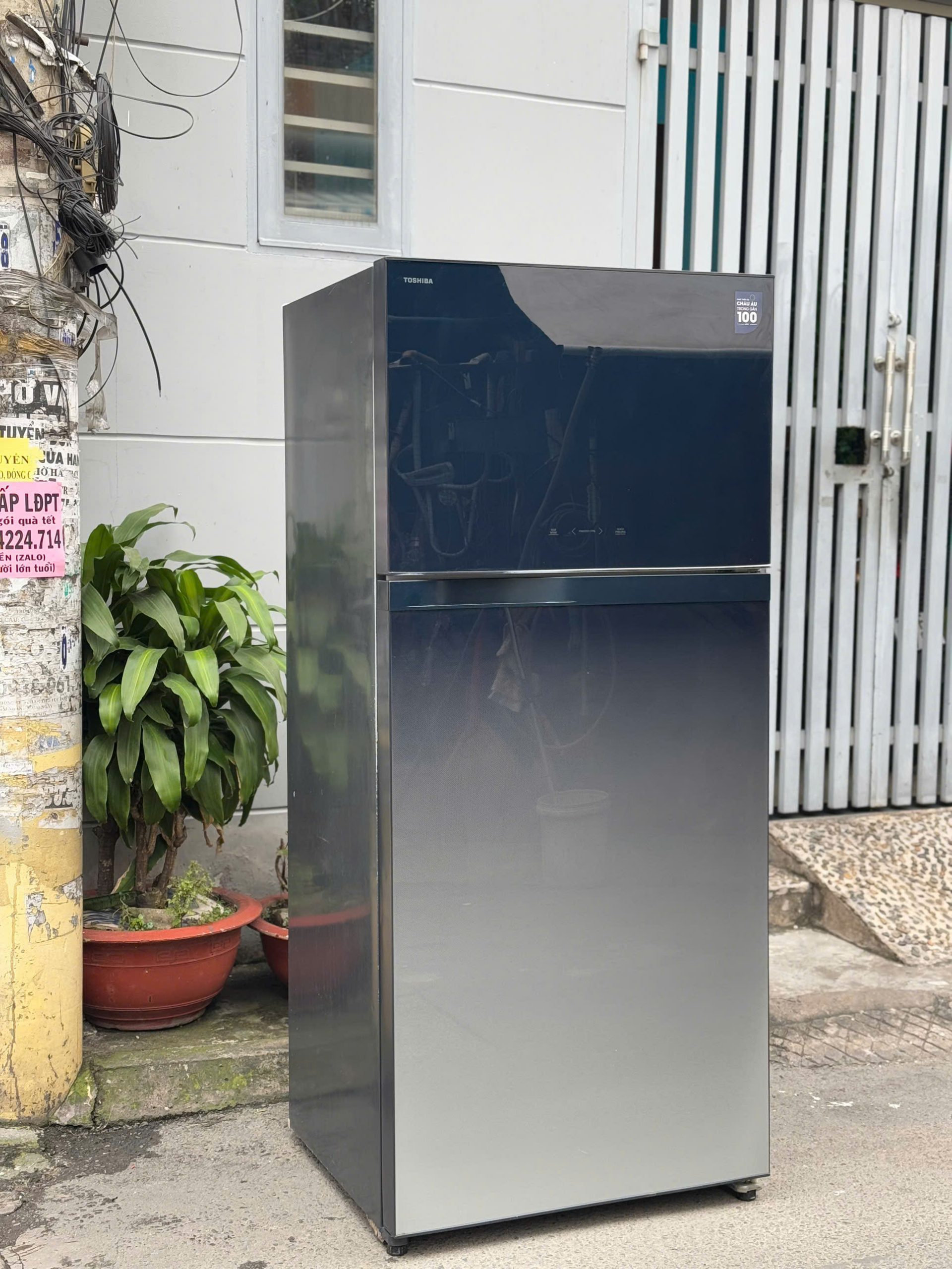 Tủ lạnh TOSHIBA INVERTER 600L - Ảnh 2
