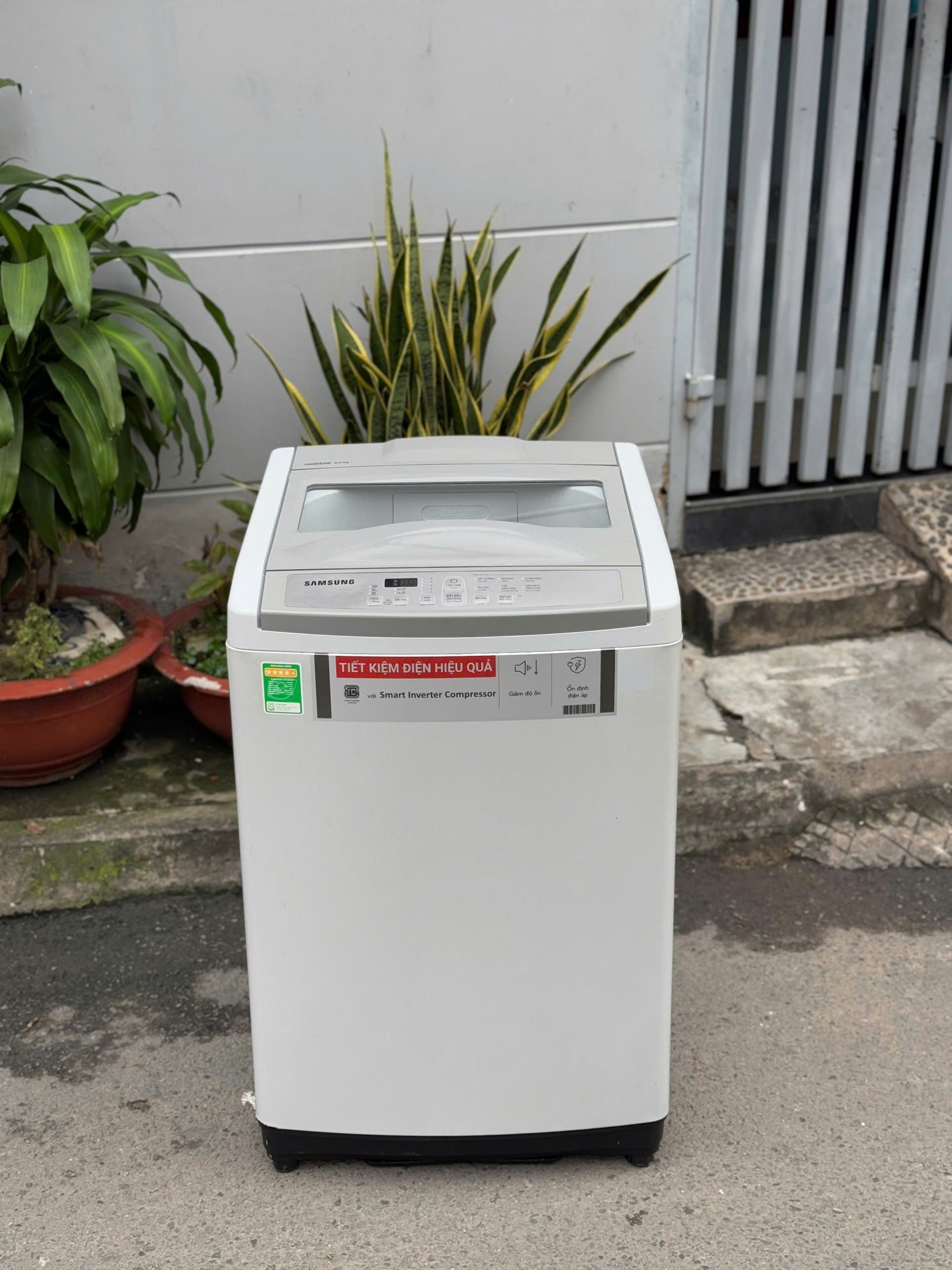 Máy giặt cửa đứng 8.5KG
