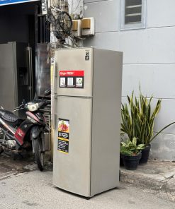 Alternative view of Tủ Lạnh Sharp 339L